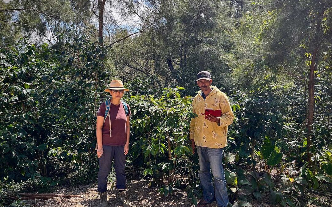 Shade grown coffee: Good things come to those who wait